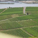 Felsenkeller 3* Ruedesheim am Rhein