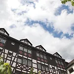 Felsenkeller 3* Ruedesheim am Rhein