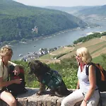 Felsenkeller Hotel