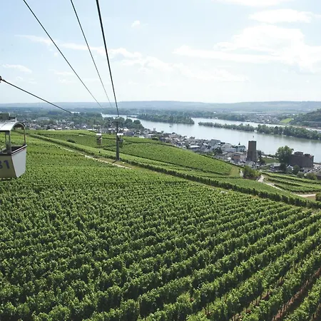 Felsenkeller Hotel Rüdesheim am Rhein