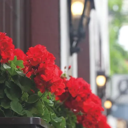 Felsenkeller רודסהיים אם ריין