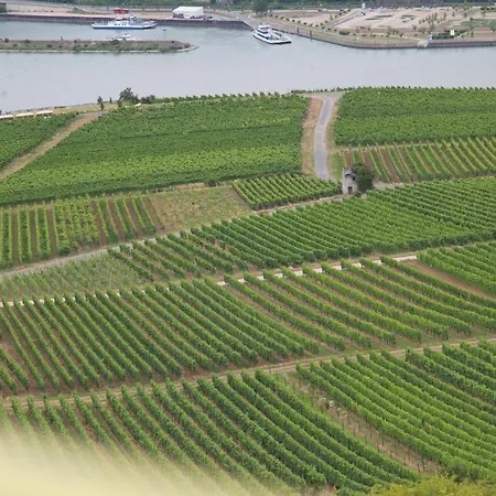 Felsenkeller 3* Ruedesheim am Rhein