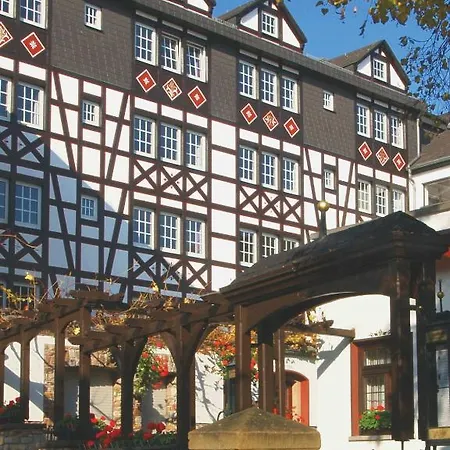 Hotel Felsenkeller Rüdesheim am Rhein