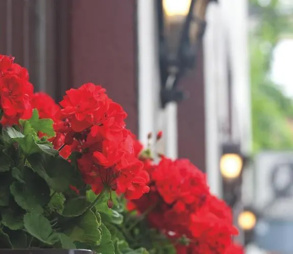 Felsenkeller Ruedesheim am Rhein