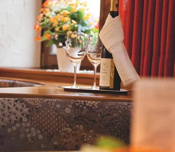 Felsenkeller Hotel Ruedesheim am Rhein