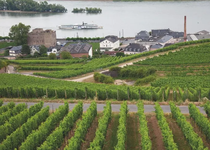 Hotel Felsenkeller 3*