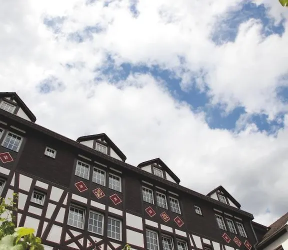 Felsenkeller 3* Ruedesheim am Rhein